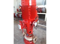 Sea Water Pump & Fire Pump